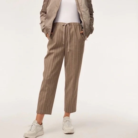 Aritzia Pants - ARITZIA | Babaton Jimmy Pant